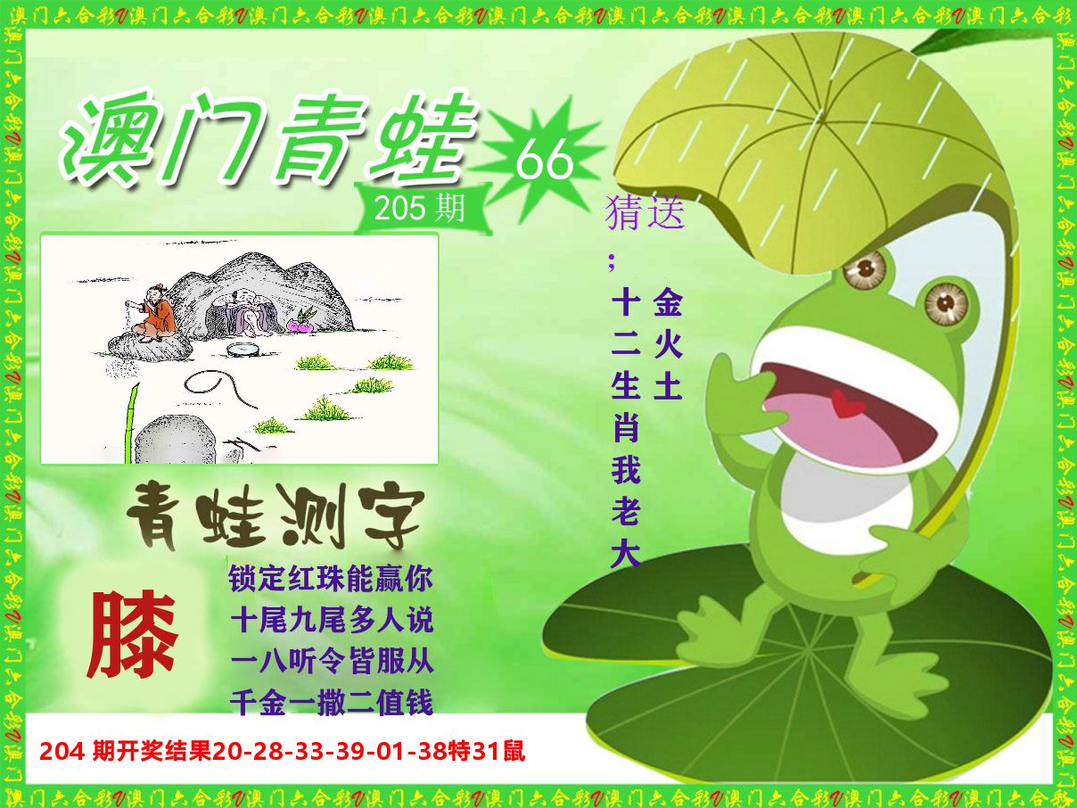 青蛙系列66 第205期