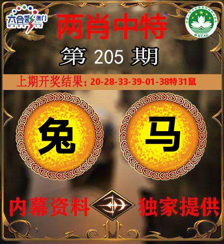 两肖中特 第205期