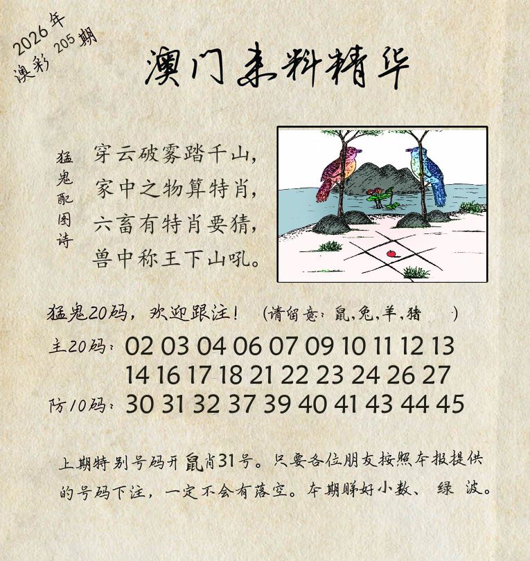 精华来料 第205期