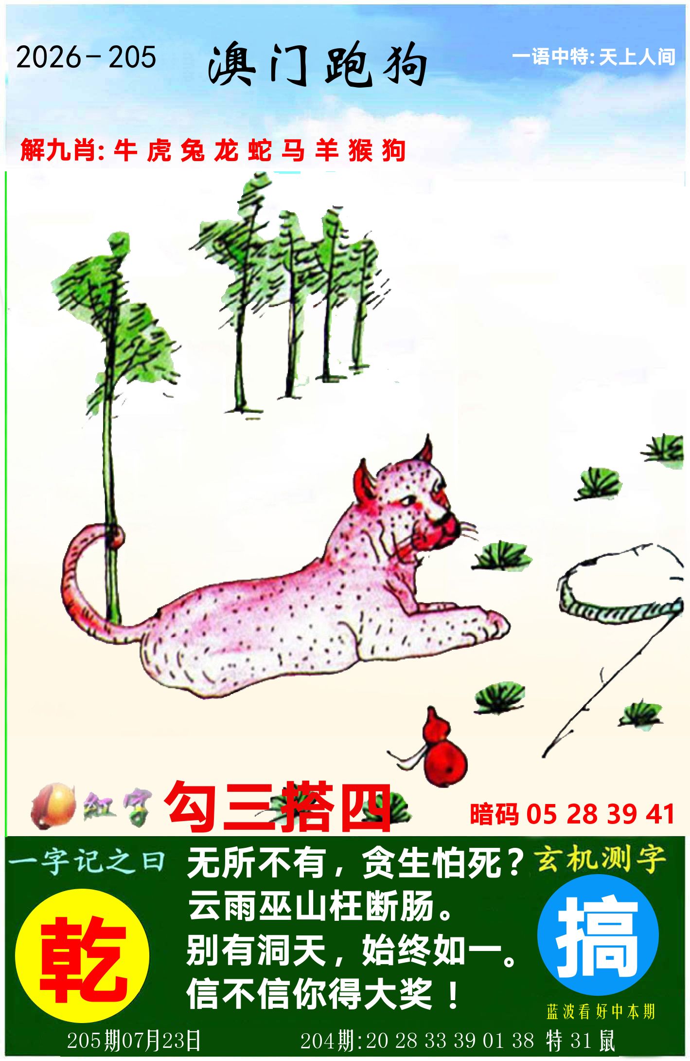 澳门跑狗图 第205期