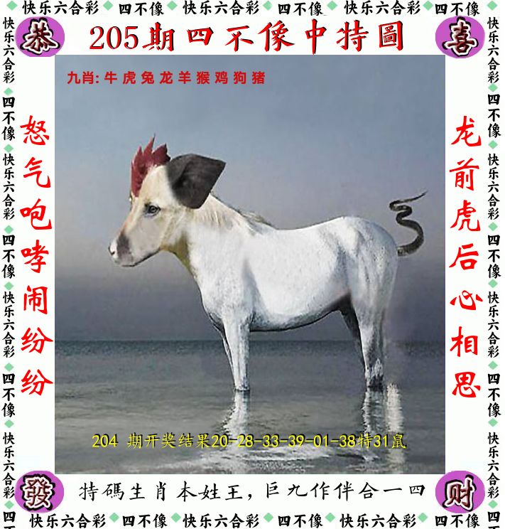 四不像 第205期
