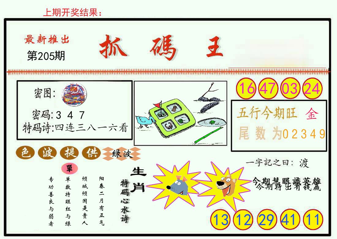 最新抓码王 第205期