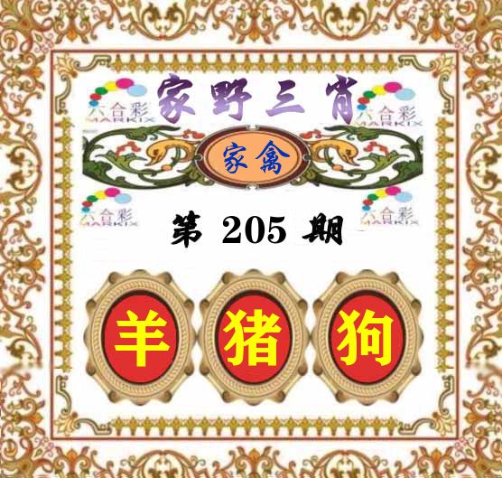 家野三肖 第205期