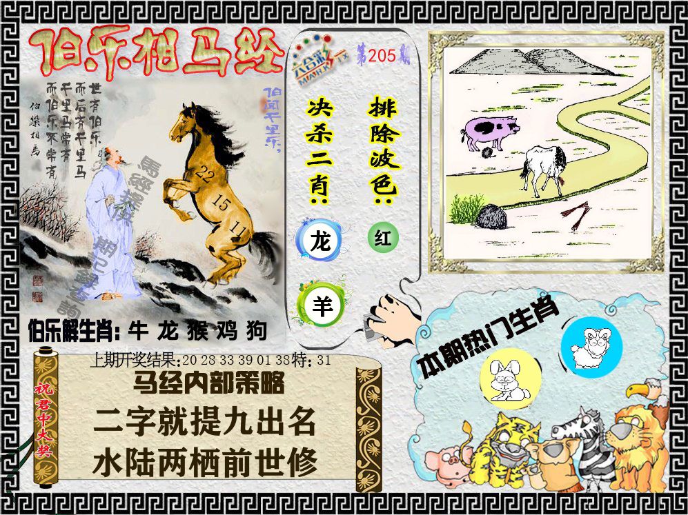 伯乐相马经 第205期