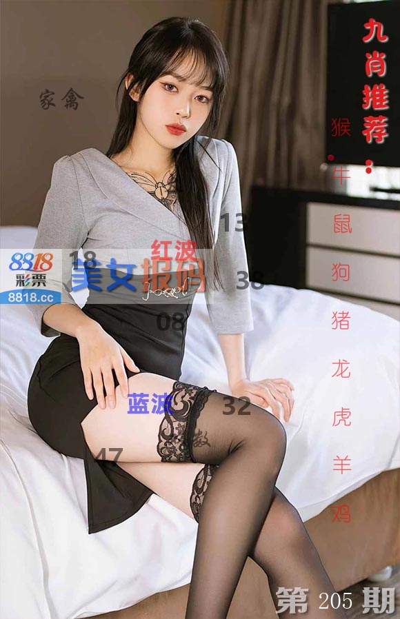 美女报码 第205期