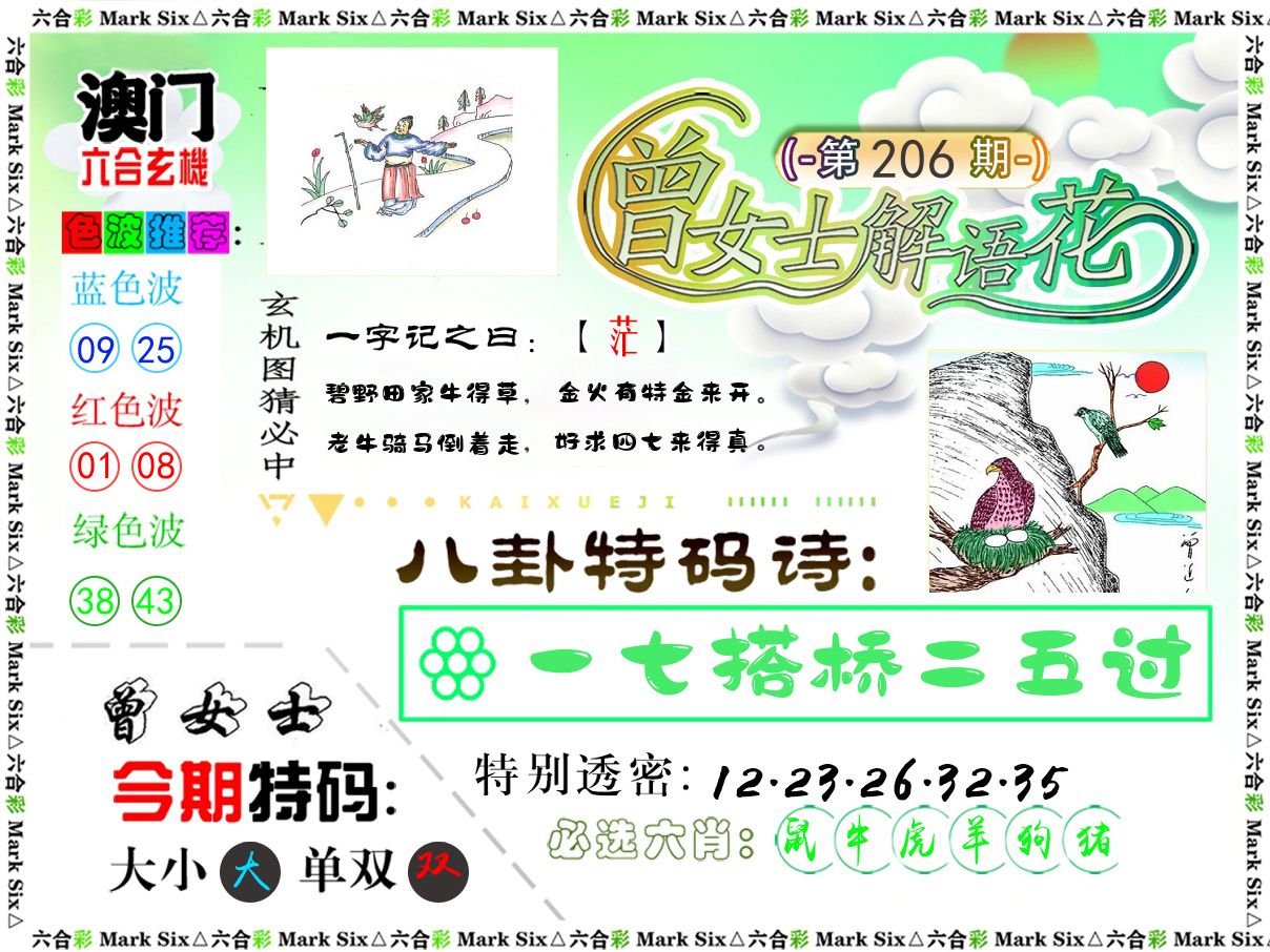 曾女士解语花 第206期