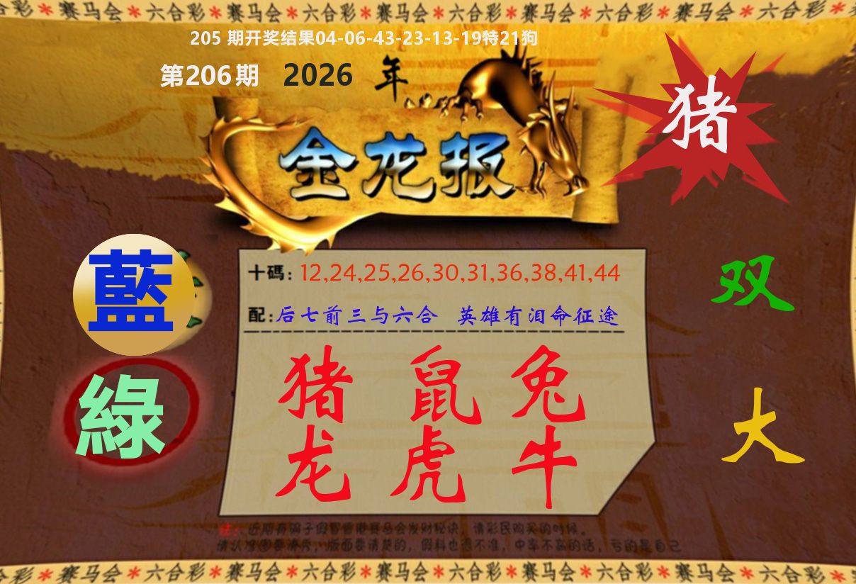 金龙报 第206期