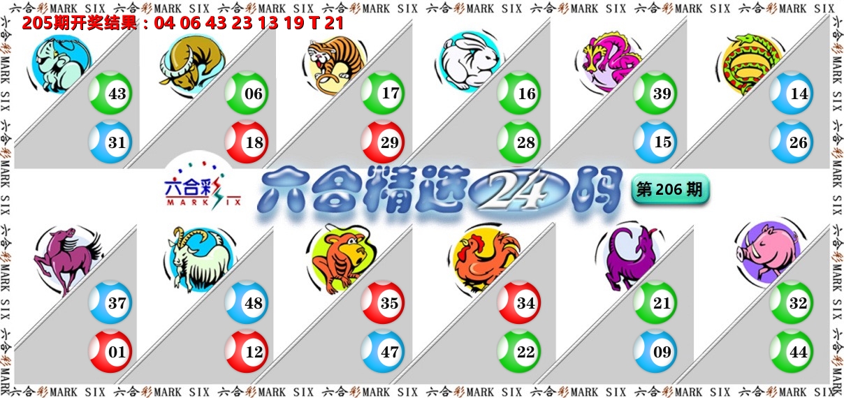 六合精选24码 第206期