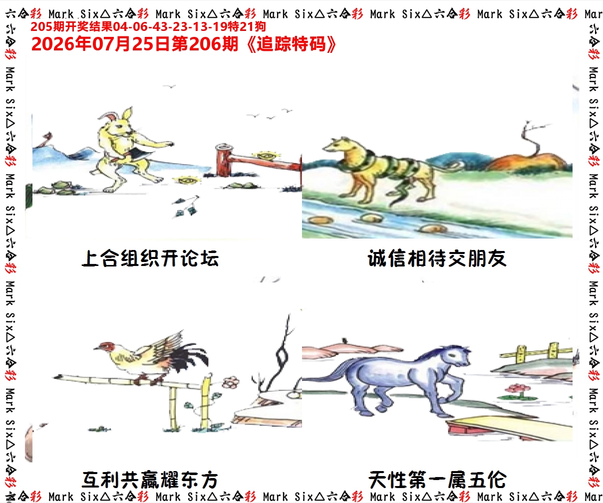 追踪特码 第206期