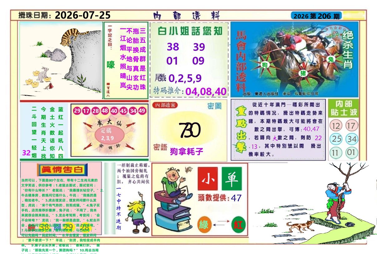 澳门内部透料A 第206期