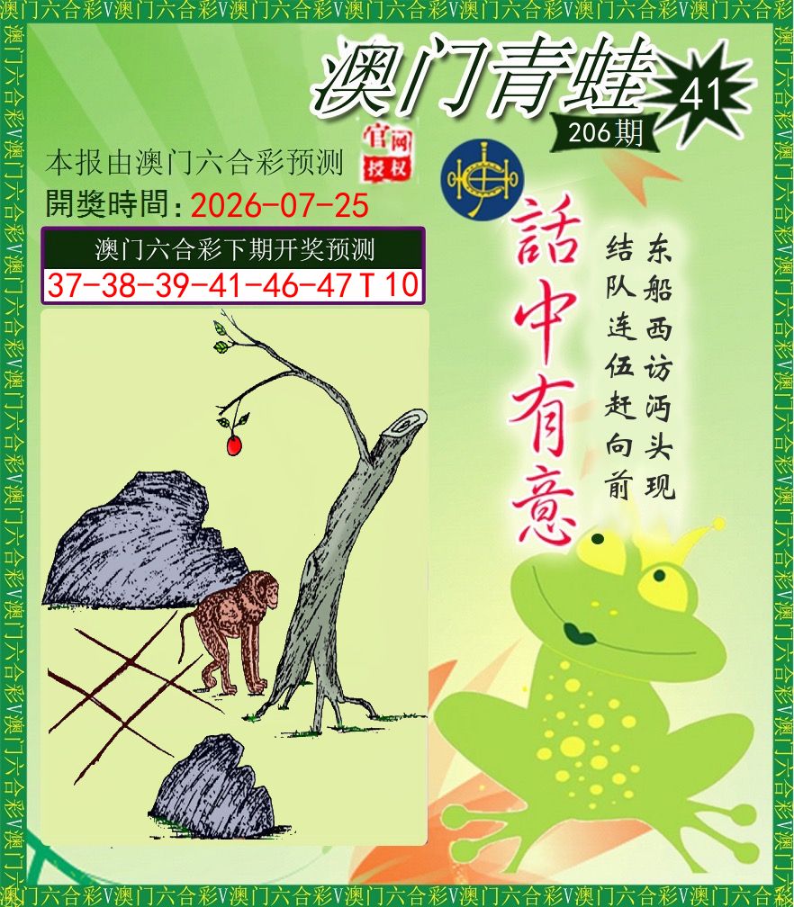 青蛙系列43 第206期