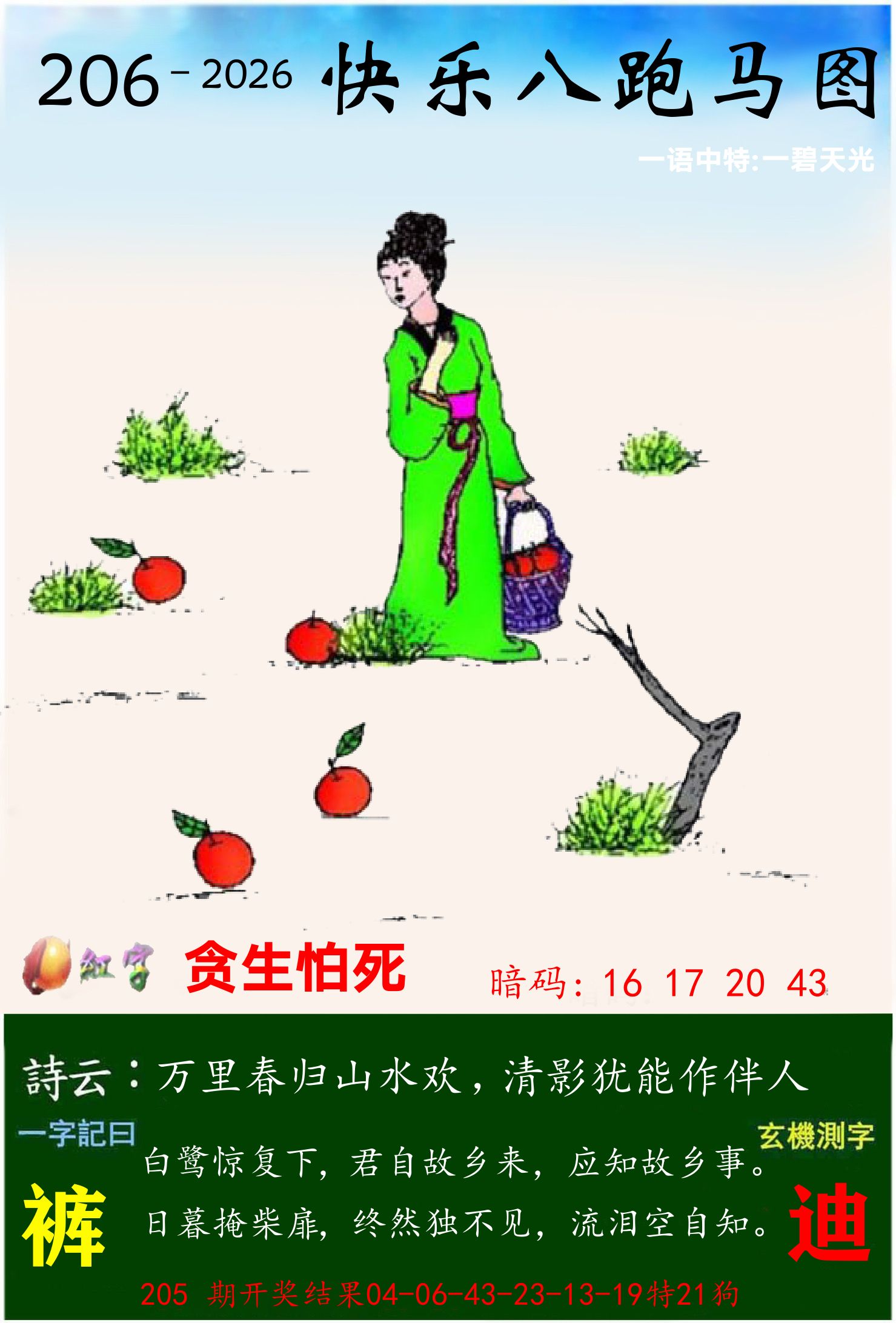 澳门跑马 第206期