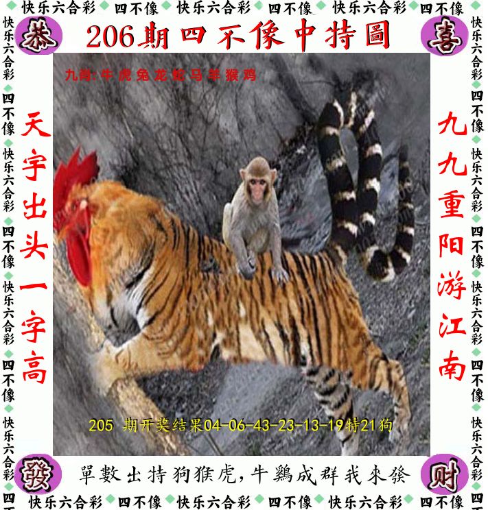 四不像 第206期
