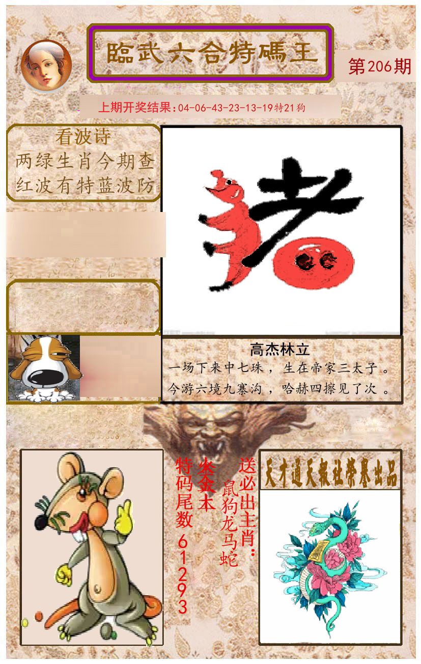 臨武六合特码王 第206期