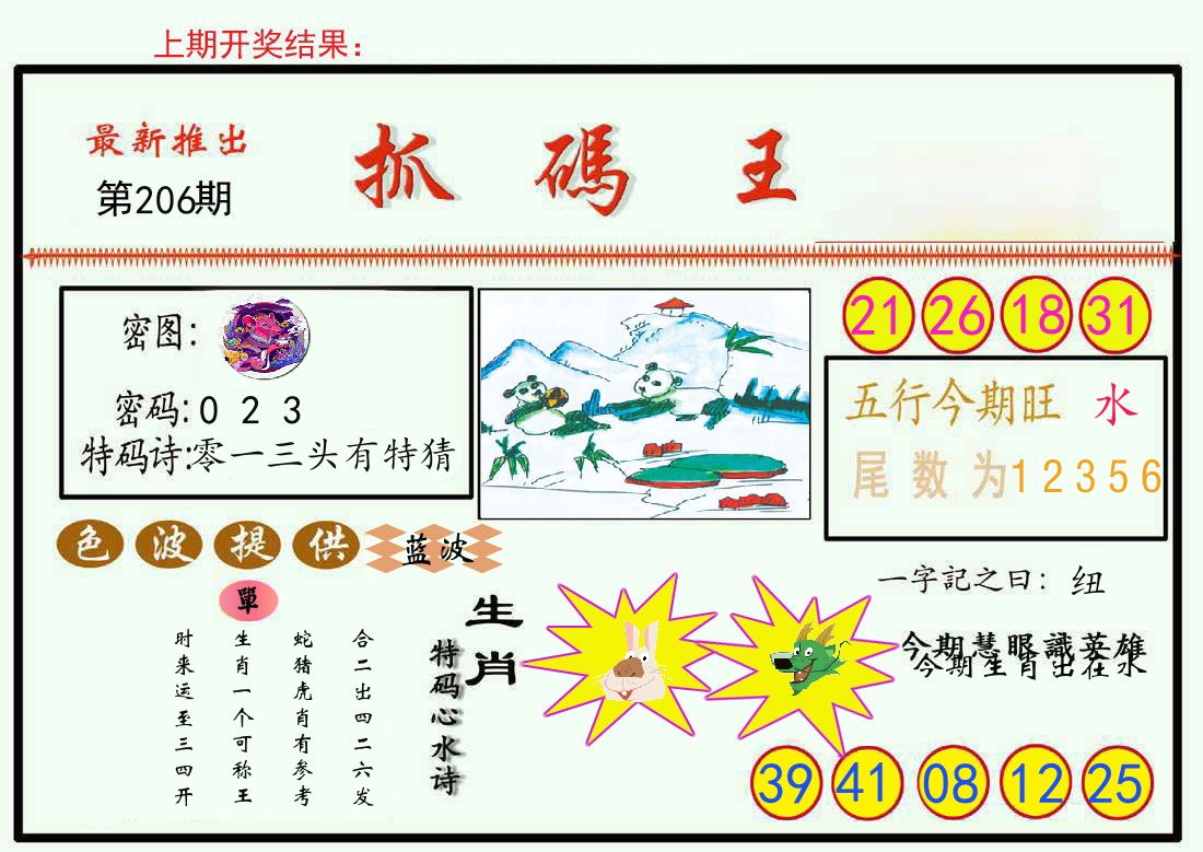 最新抓码王 第206期