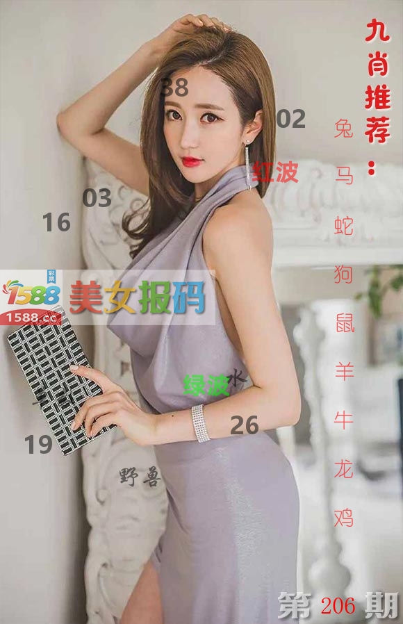 美女报码 第206期