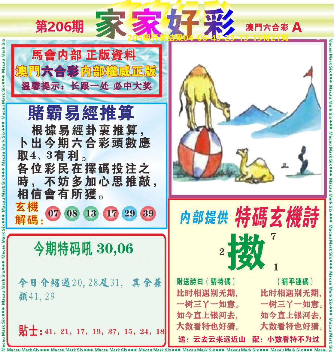 家家好彩A 第206期