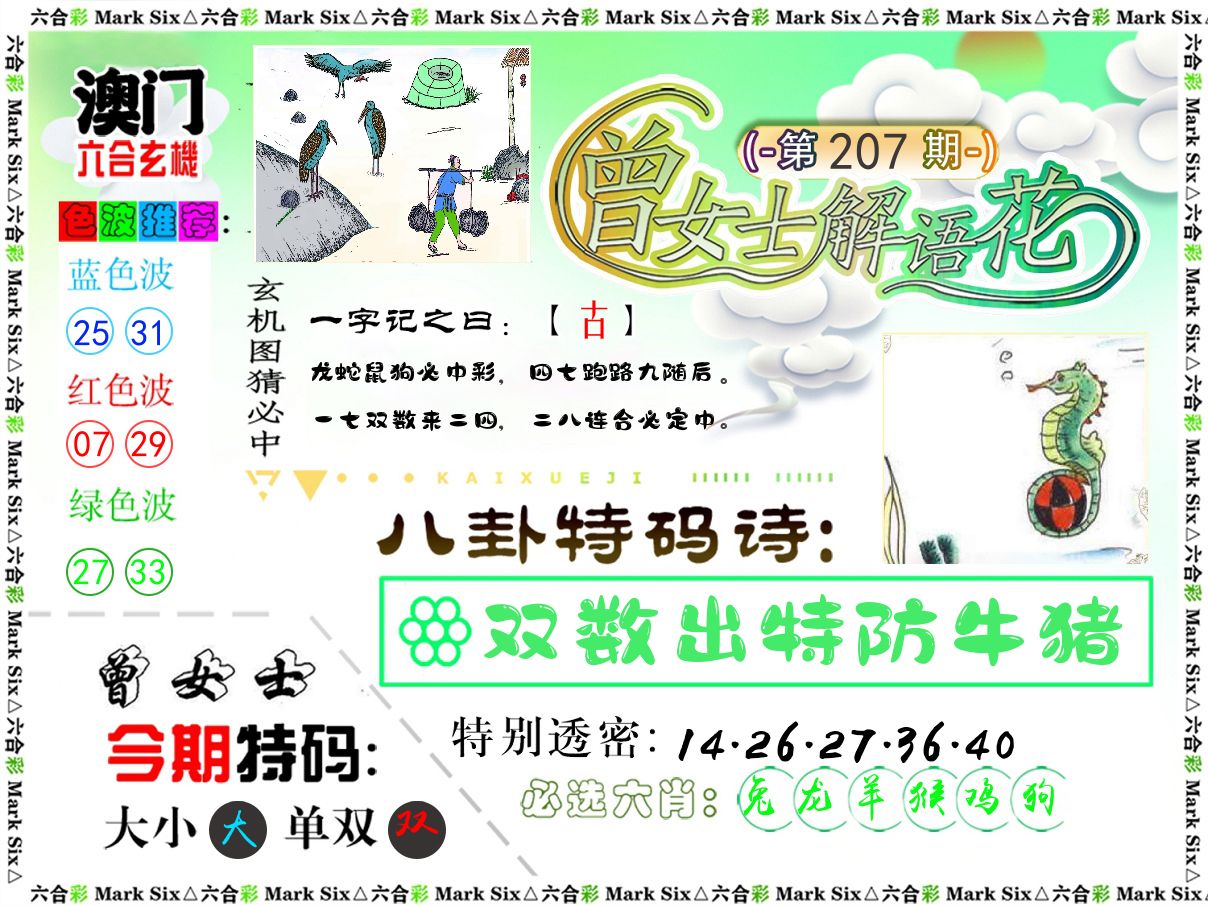 曾女士解语花 第207期