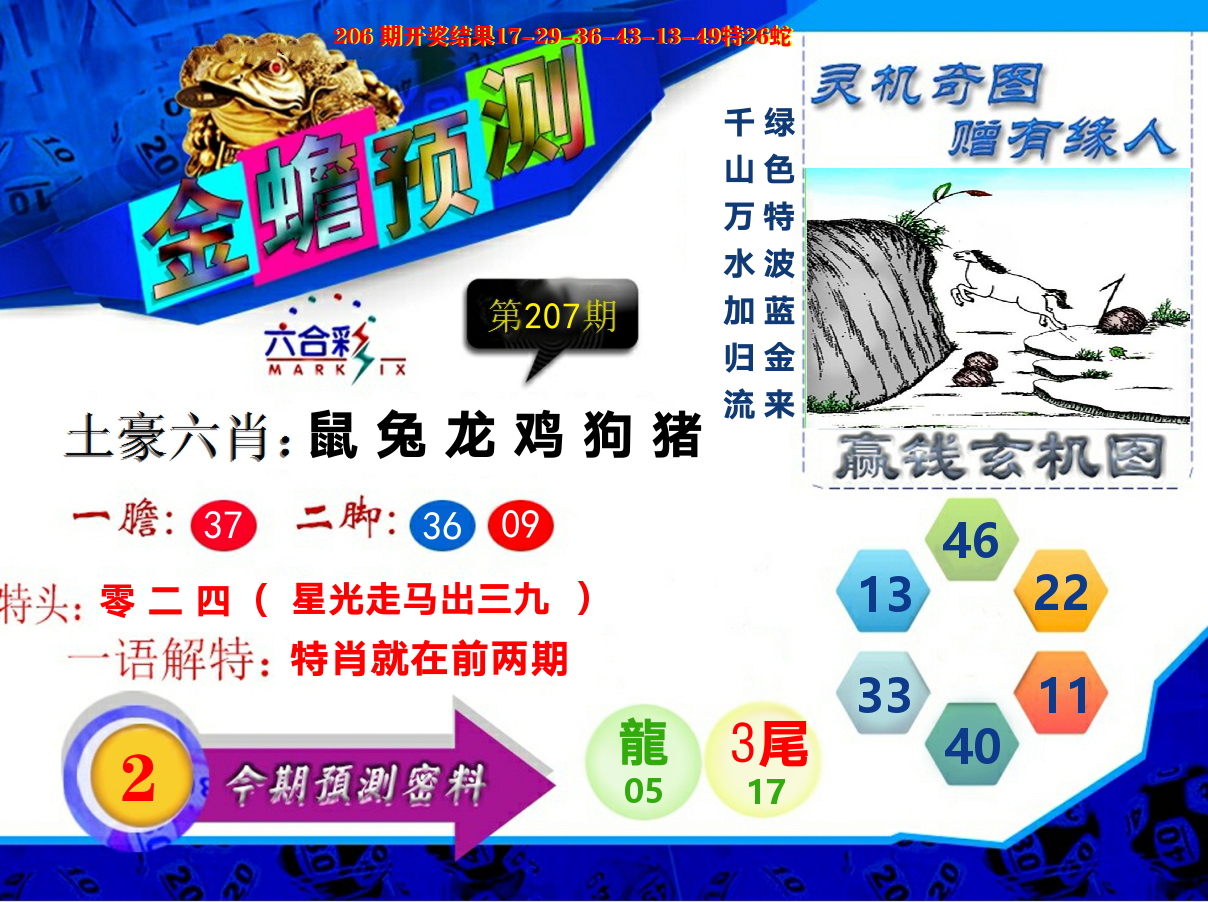金蟾预测 第207期