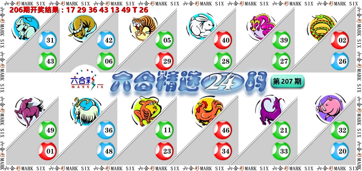 六合精选24码 第207期