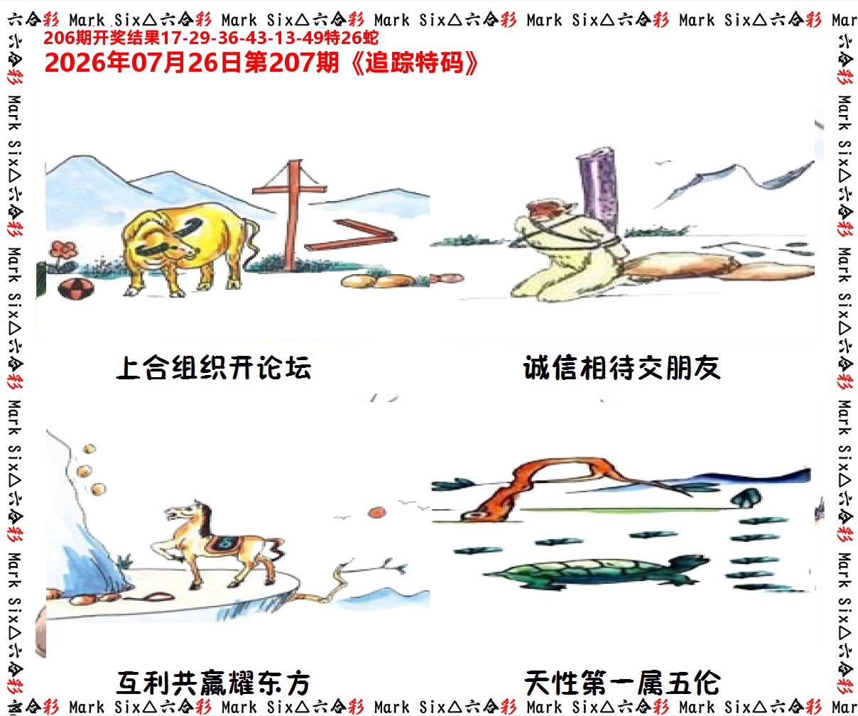 追踪特码 第207期