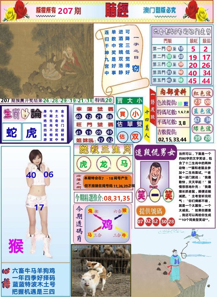 澳门赌经 第207期