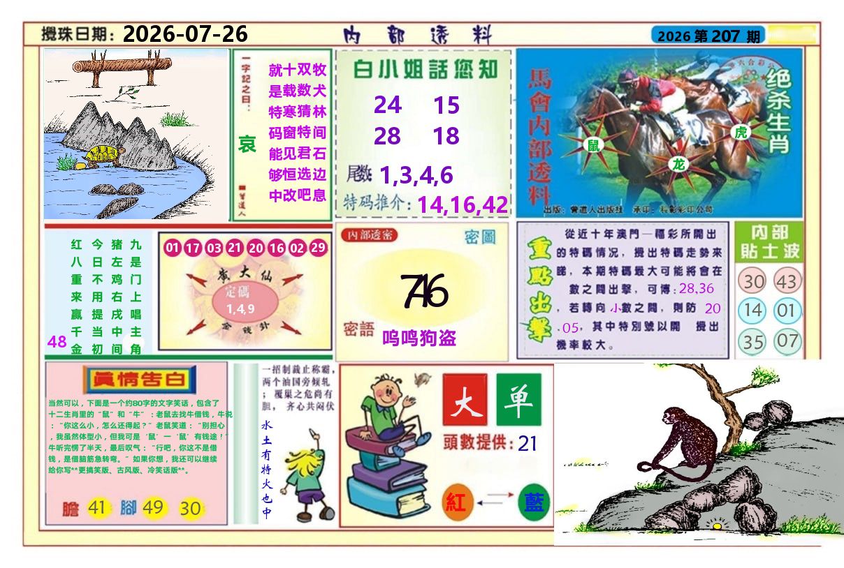 澳门内部透料A 第207期
