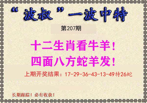 波叔中特 第207期