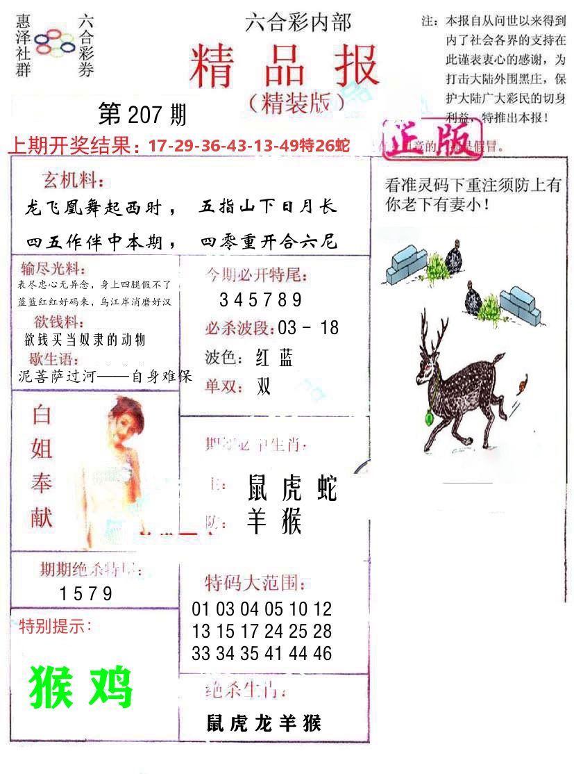 精品报 第207期