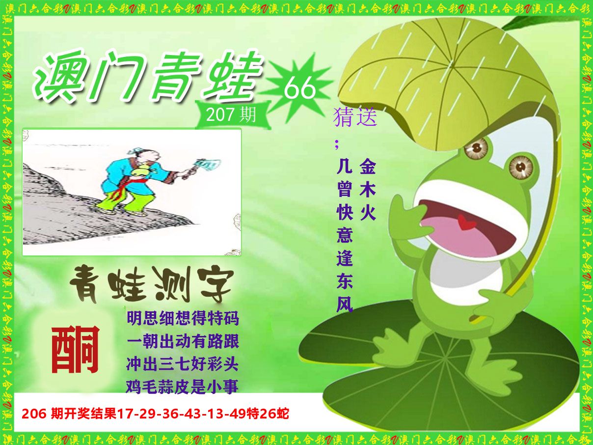青蛙系列66 第207期