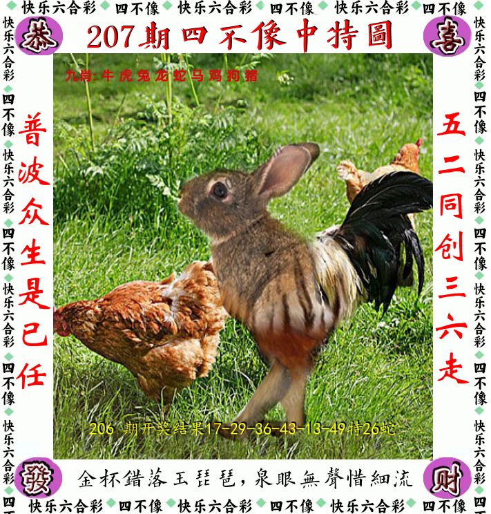 四不像 第207期