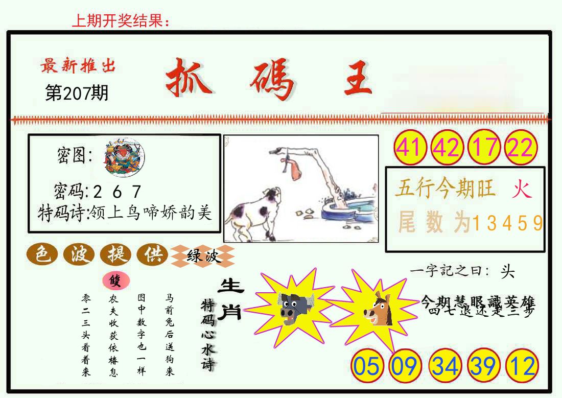 最新抓码王 第207期