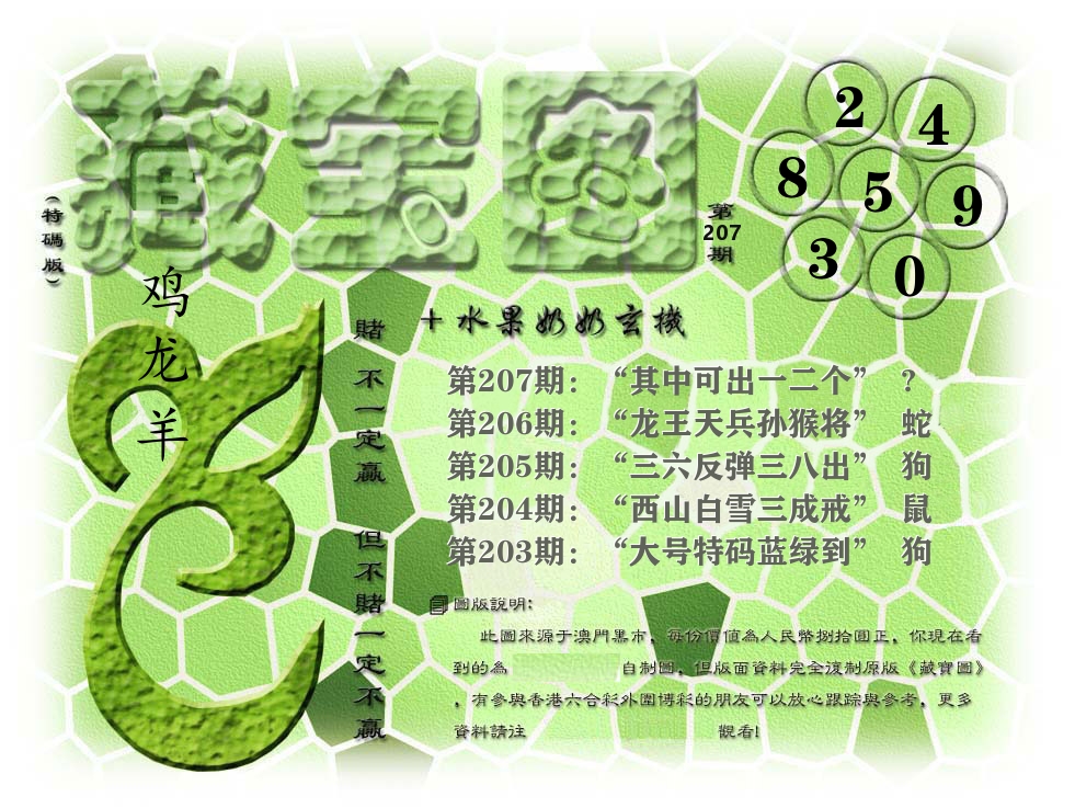 藏宝图奶奶玄机 第207期