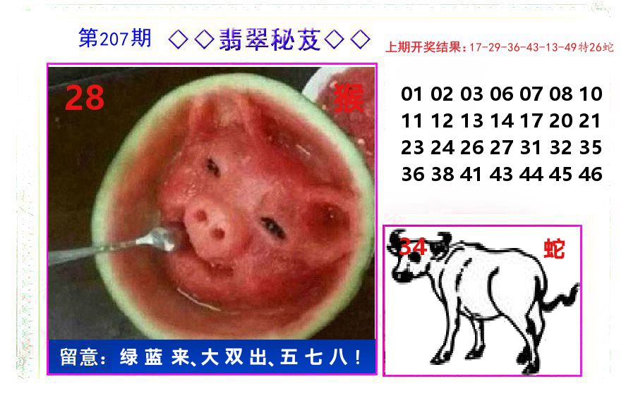 翡翠秘芨 第207期