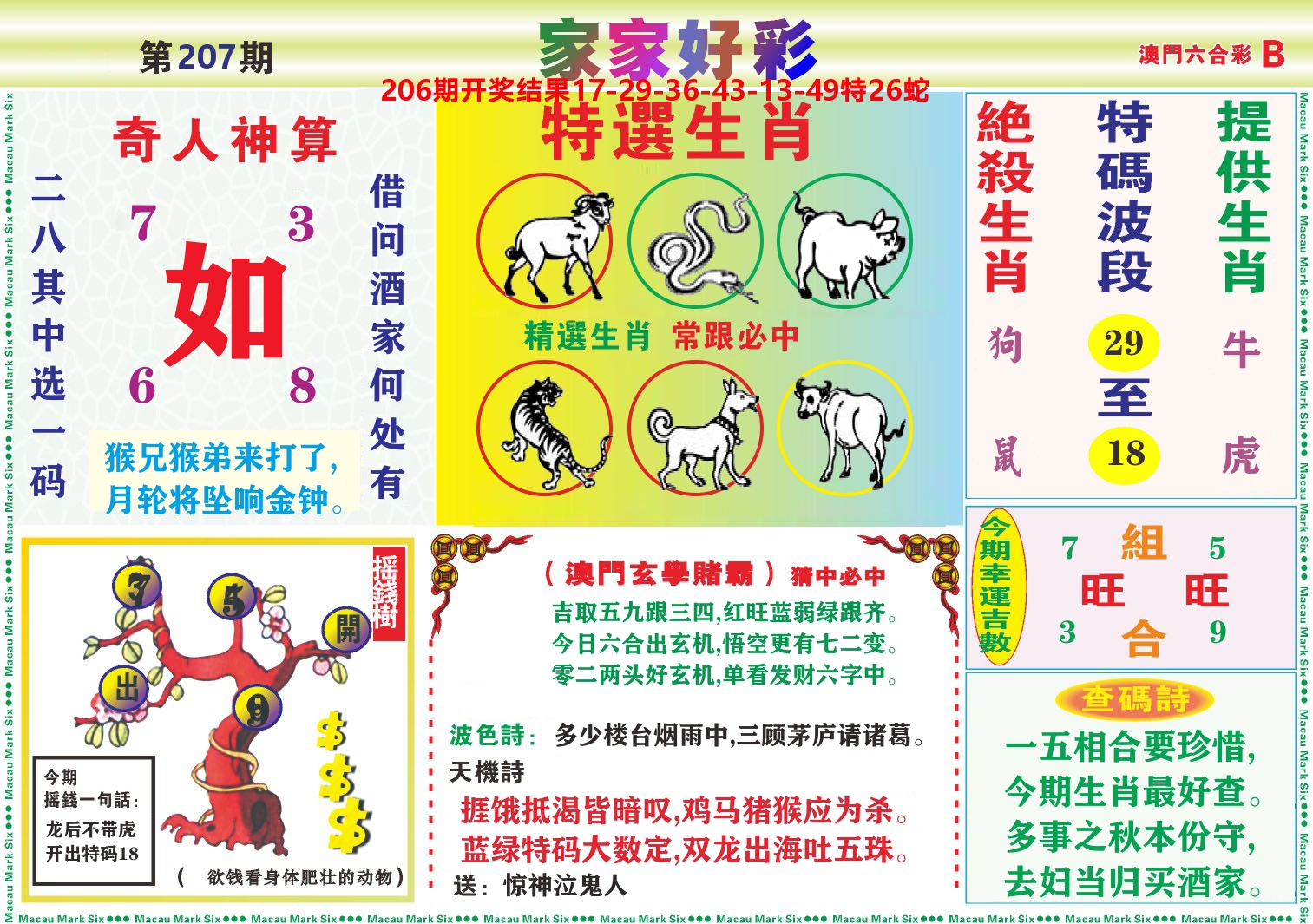 家家好彩B 第207期