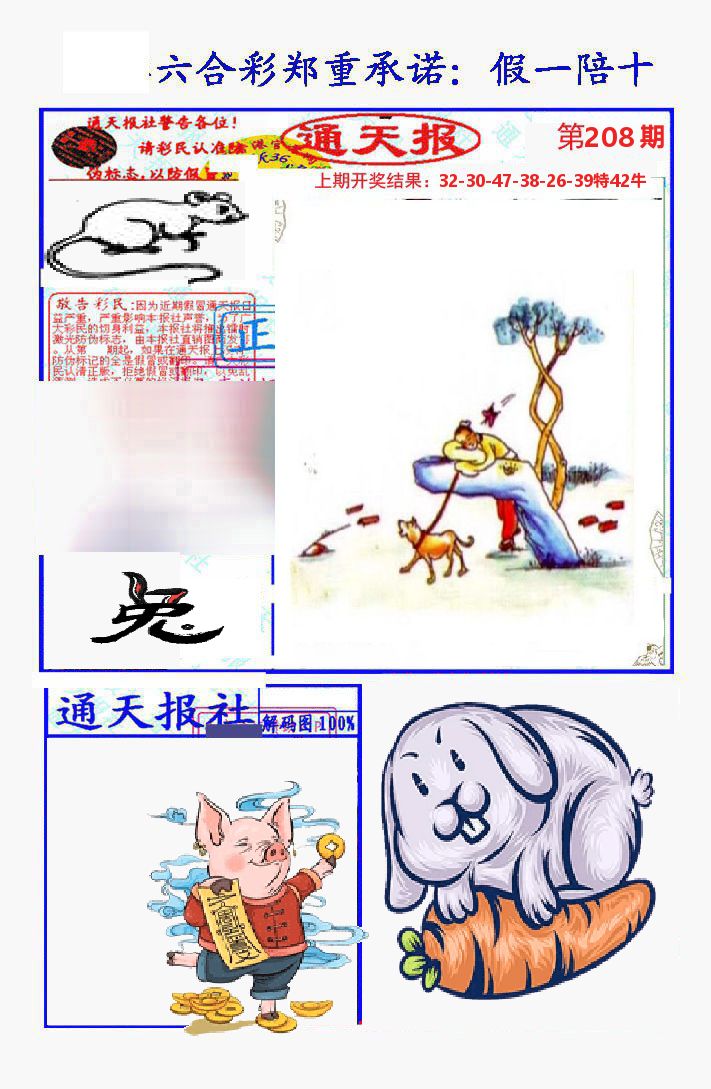 通天报 第208期
