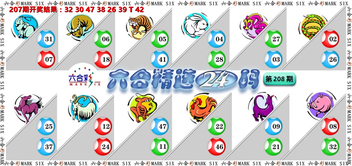 六合精选24码 第208期