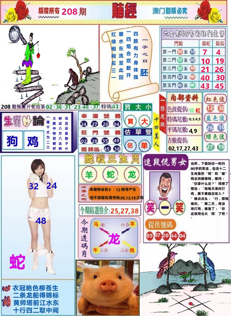 澳门赌经 第208期