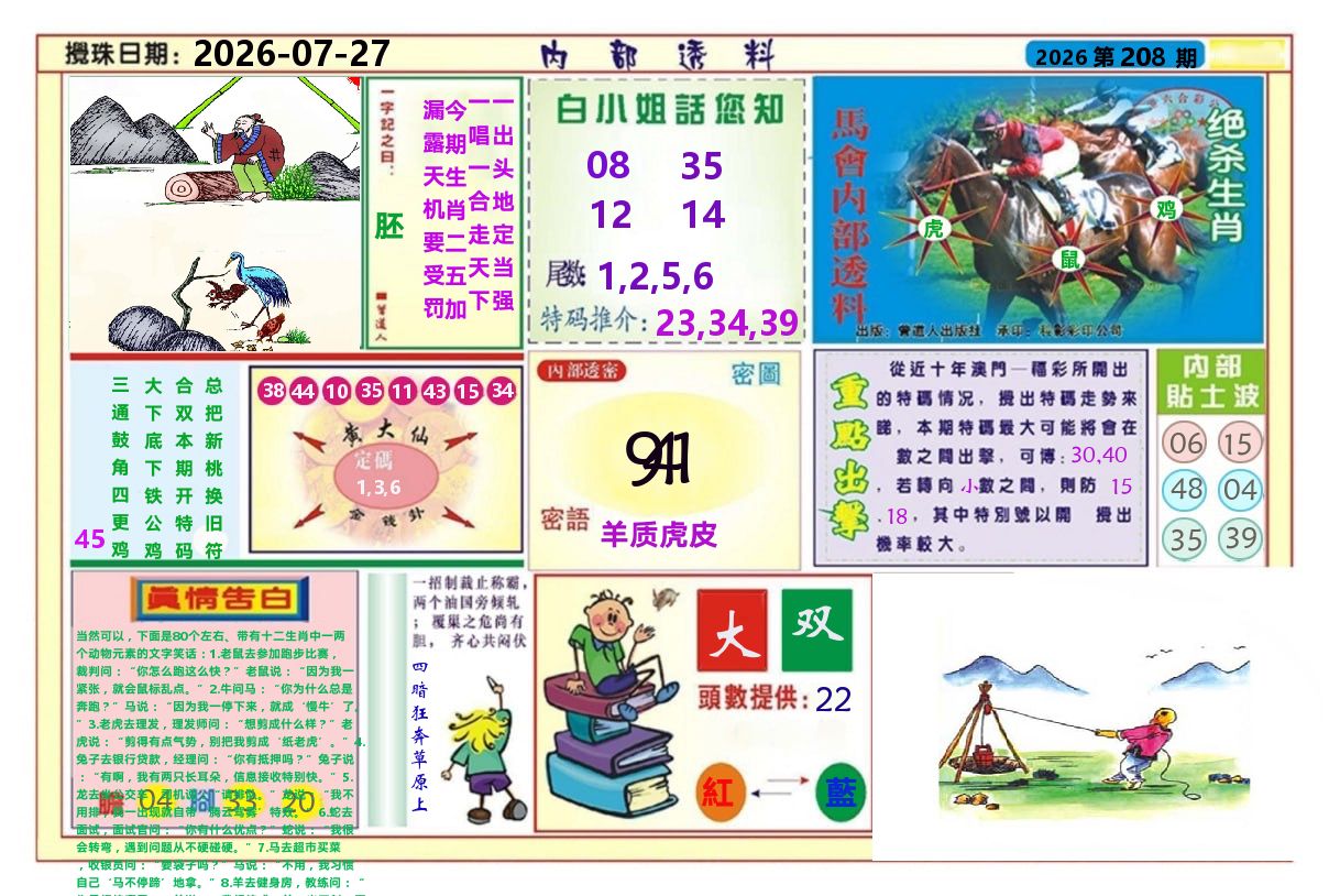澳门内部透料A 第208期