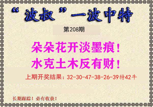 波叔中特 第208期
