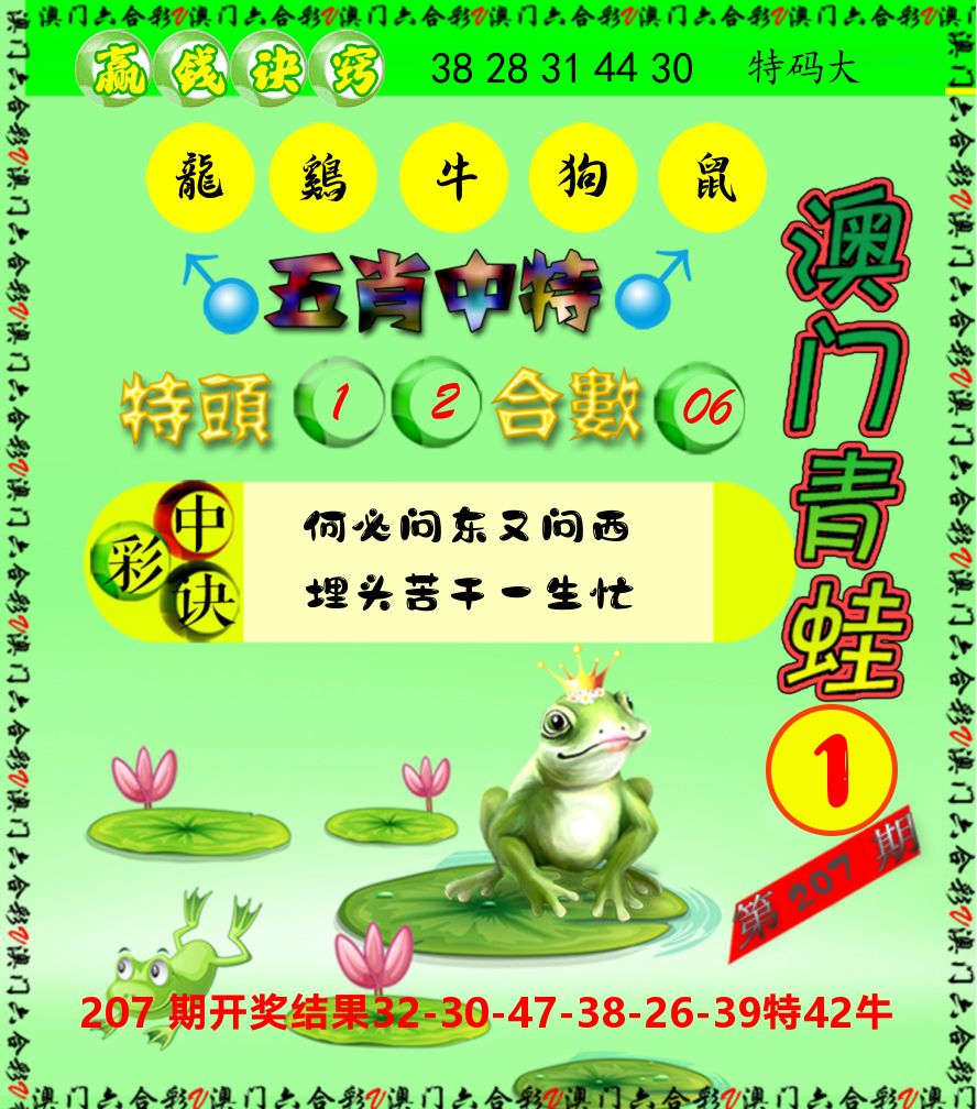 青蛙系列1 第208期
