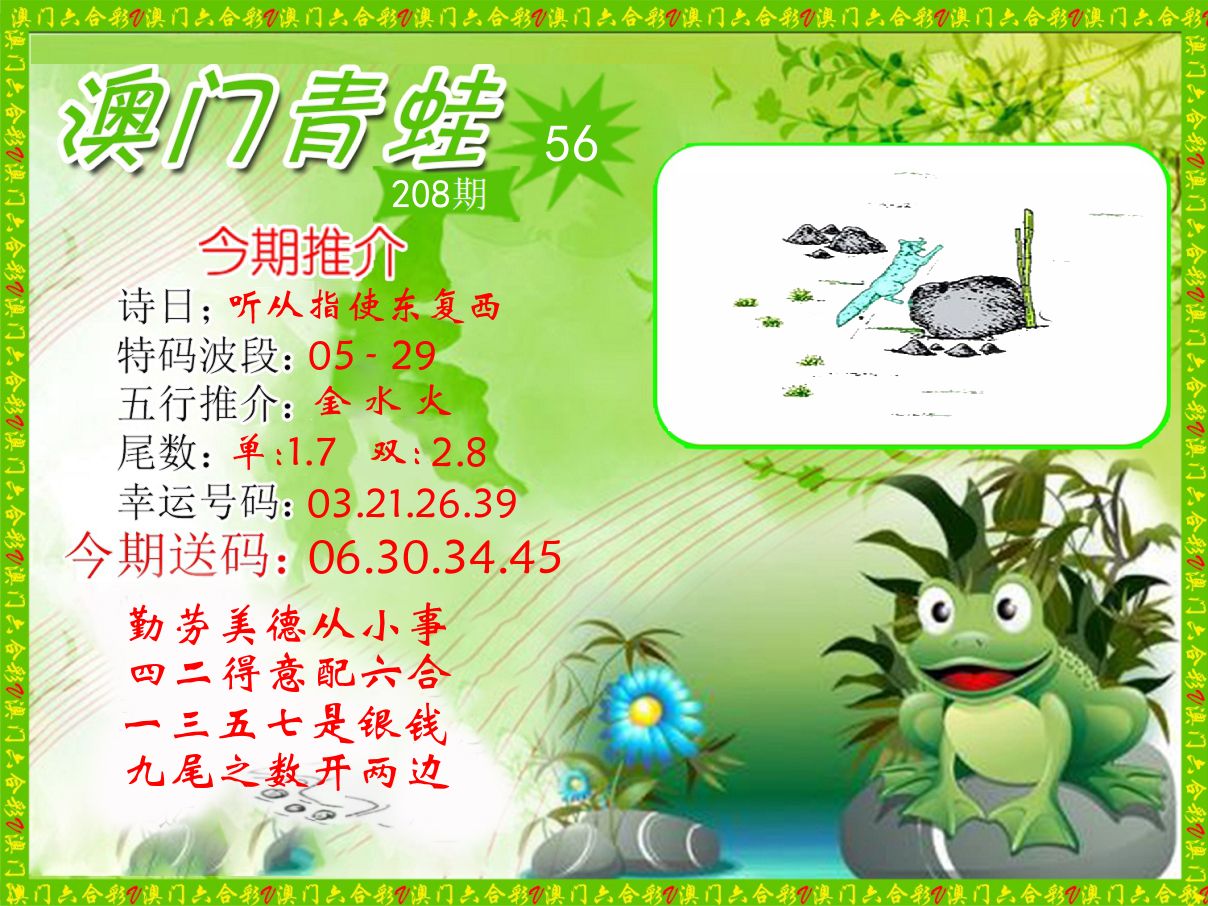 青蛙系列56 第208期