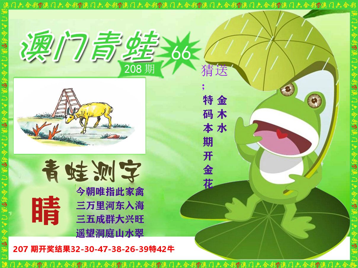 青蛙系列66 第208期