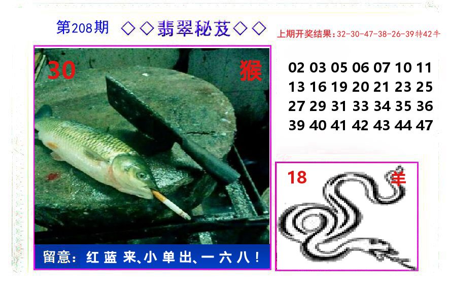 翡翠秘芨 第208期
