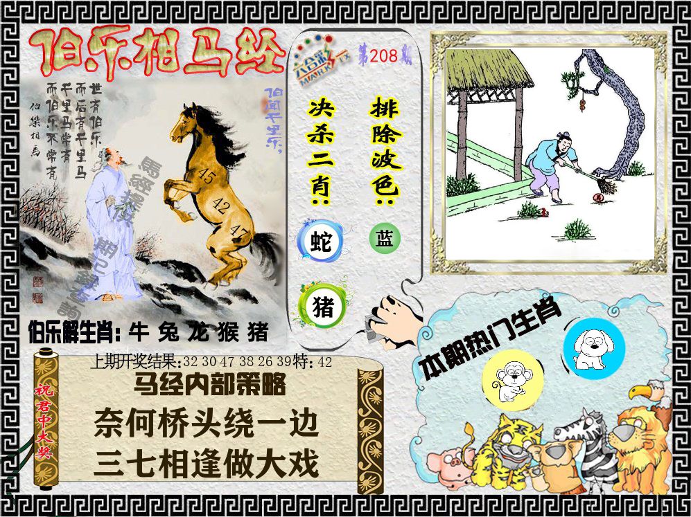 伯乐相马经 第208期
