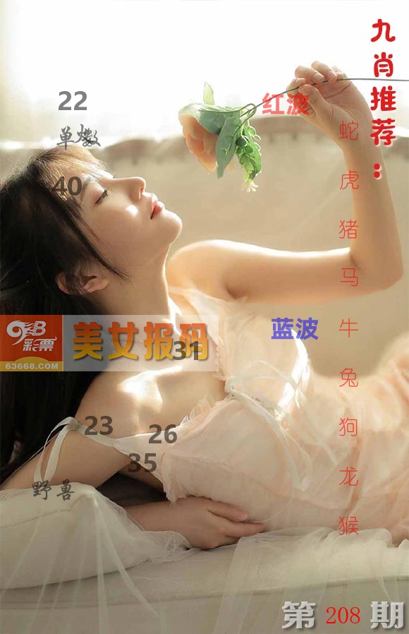 美女报码 第208期