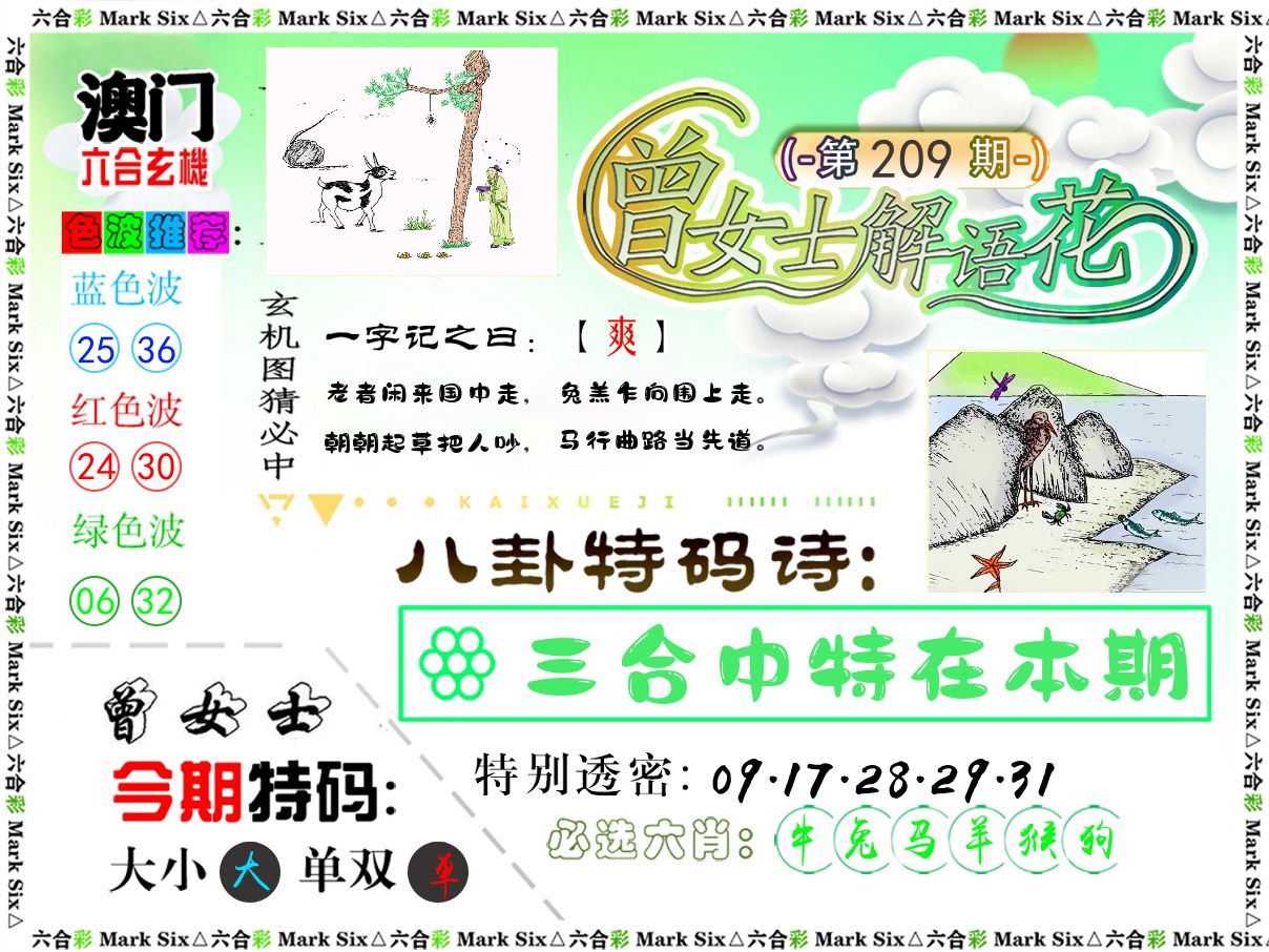 曾女士解语花 第209期