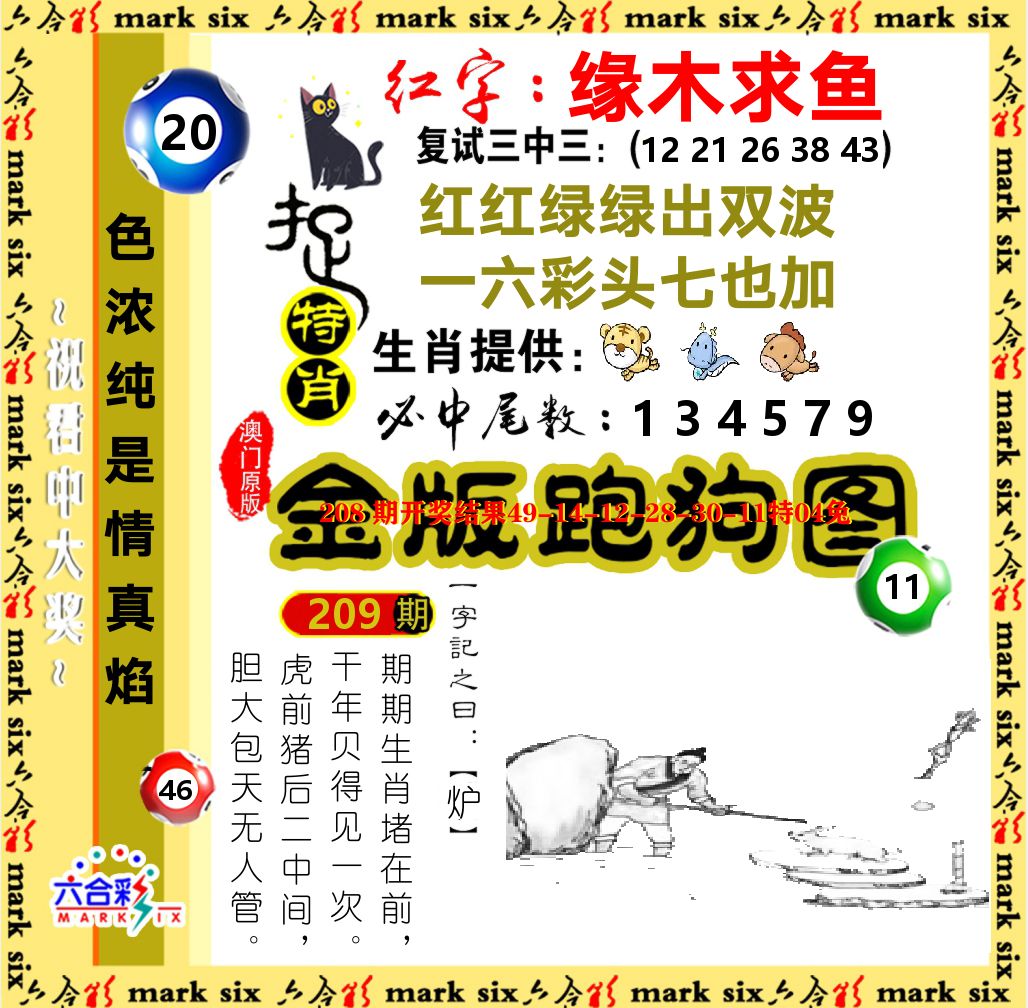 金版跑狗图 第209期