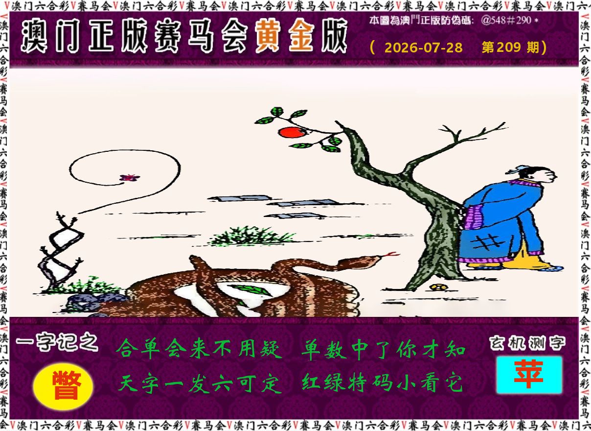 赛马会黄金版 第209期
