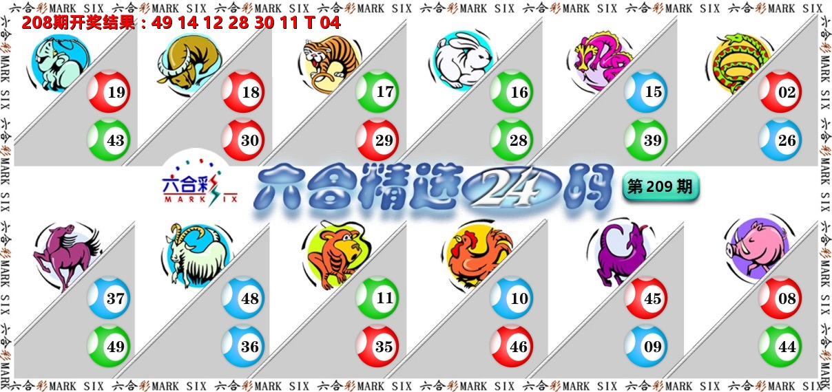 六合精选24码 第209期